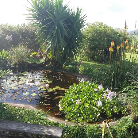 Casa Farrobo Дом отдыха