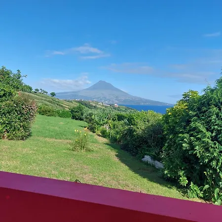 Casa Farrobo * Horta (Azores)
