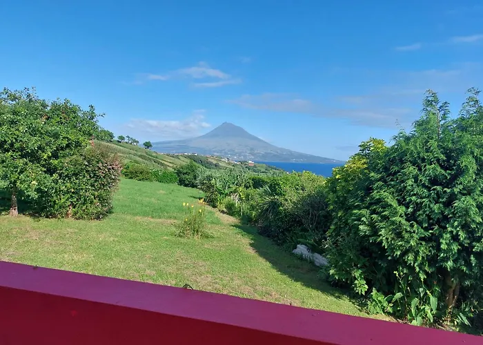 Casa Farrobo * הורטה