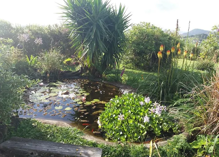 Casa Farrobo Holiday home